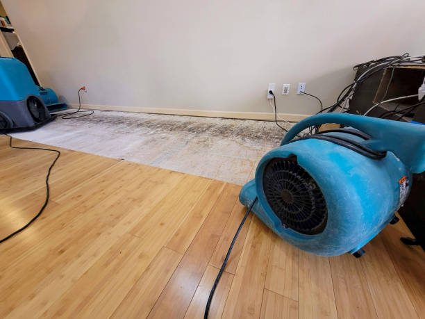 Professional Emergency Water Damage technician working in Woodsfield, OH